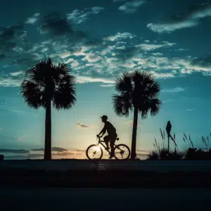 Evening bike rider